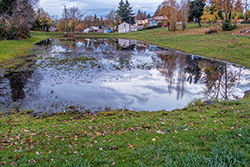 Tree service Smithville drainage issues